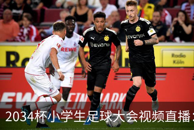 2034杯小学生足球大会视频直播：董路中国足球小将蓝队VS西藏攀峰足球俱乐部！！
